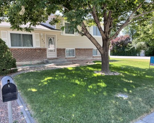 488 Anjou Drive Grand Junction CO 81504